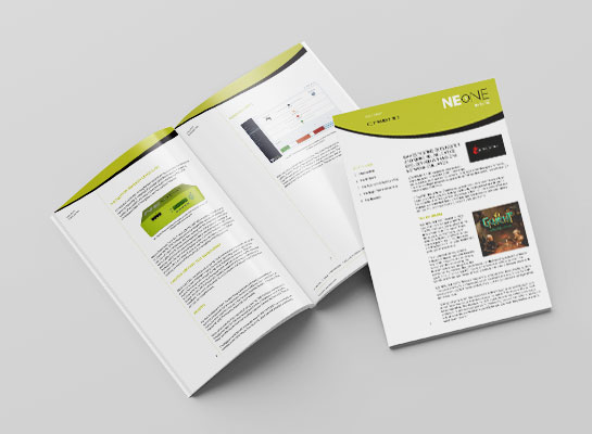 CD Projekt Red のケーススタディ